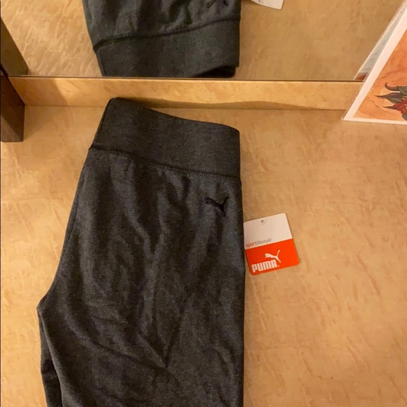 Puma capri - Picture 3 of 5